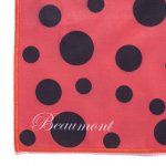Image links to product page for Beaumont Microfibre Polishing Cloth - Ladybird