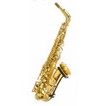 Image links to product page for Trevor James 374SE-KKIM "Evo" Alto Saxophone