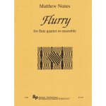 Image links to product page for Flurry for flute quartet or ensemble