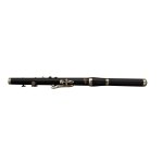 Image links to product page for Miller Browne B6HS Bb Marching Flute