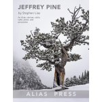 Image links to product page for Jeffrey Pine