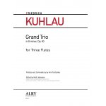 Image links to product page for Grand Trio in B minor for Three Flutes, Op90