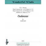 Image links to product page for Flute Cadenzas, K. 313, K. 314, & K. 315