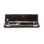 Image links to product page for Di Zhao Boston DZ-WB-BEFC#D# Wood Flute