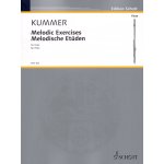 Image links to product page for Melodic Exercises for Flute, Op110