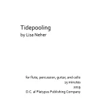 Image links to product page for Tidepooling for Flute, Percussion, Guitar and Cello