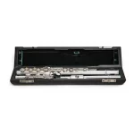 Image links to product page for Altus ALIIREH Flute