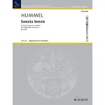 Image links to product page for Sonata Brevis for Treble Recorder and Piano, Op. 87b