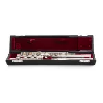 Image links to product page for Di Zhao Boston DZ-301CEA Flute