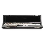 Image links to product page for Ex-Demo Altus AL-RE Heavy-wall Flute