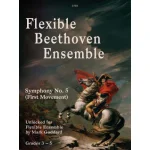 Image links to product page for Flexible Beethoven Ensemble