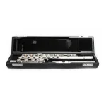 Image links to product page for Di Zhao Boston DZ-501BEF Flute