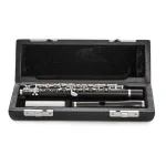 Image links to product page for Di Zhao Boston DZP-201 Piccolo
