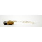 Image links to product page for Hall 11201 Crystal Piccolo in C, White Lily