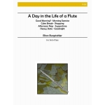 Image links to product page for A Day in the Life of a Flute