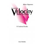 Image links to product page for Intermediate Velocity Studies: 22 Technical Studies