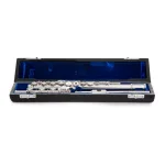 Image links to product page for Pre-Owned Haynes Q2 OEB Flute