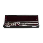 Image links to product page for Pre-Owned Takumi T-300SN Flute