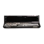 Image links to product page for Pre-Owned Altus AL-E Flute