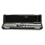 Image links to product page for Pre-Owned Altus 1007E Flute