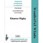 Image links to product page for Eleanor Rigby [6 C flutes]