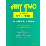 Image links to product page for Homage to Schubert: Sonatina in D minor