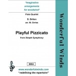 Image links to product page for Playful Pizzicatto from Simple Symphony