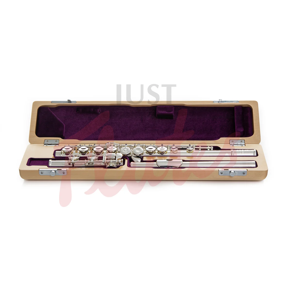 Trevor James 31VV-E "Virtuoso Voce" Flute