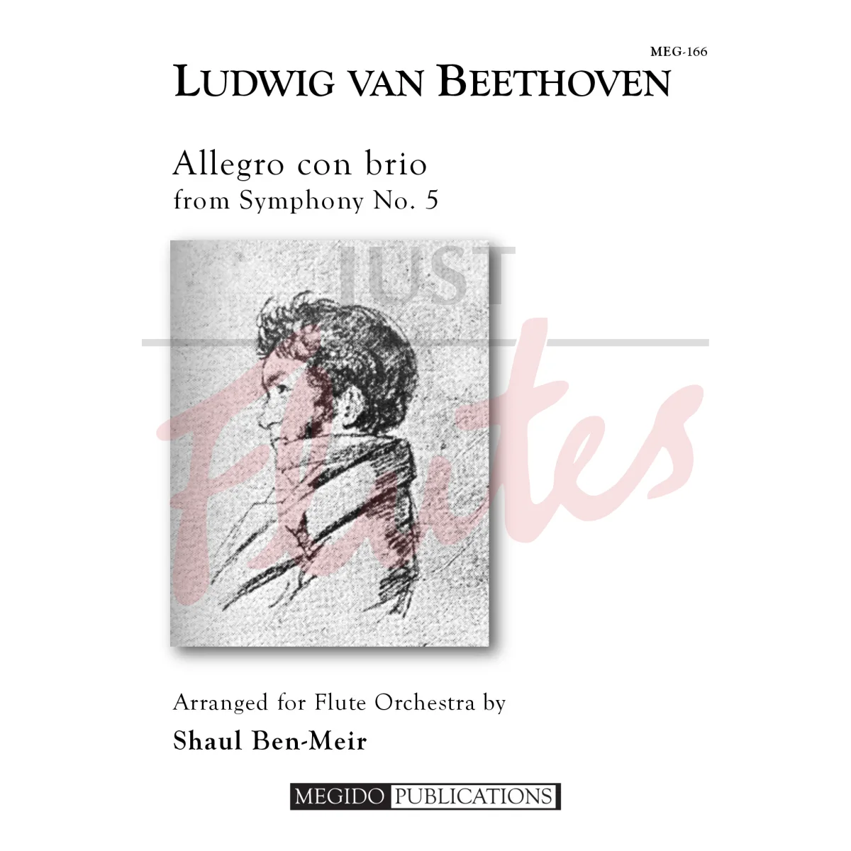 Allegro con brio from Symphony No. 5 for Flute Orchestra