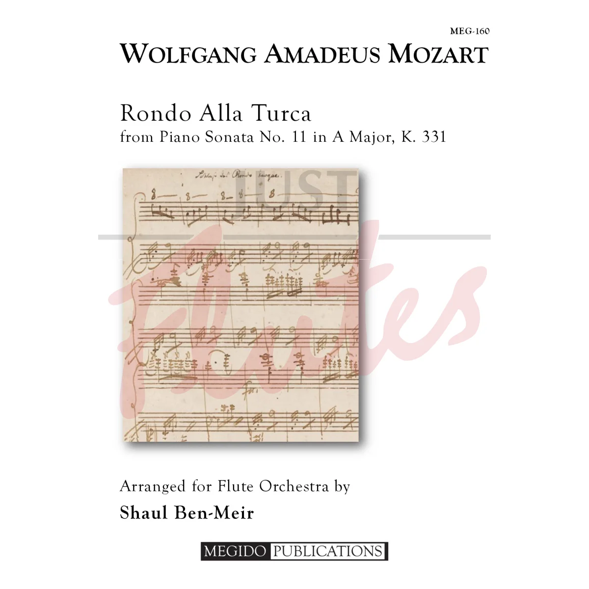 Rondo Alla Turka for Flute Orchestra