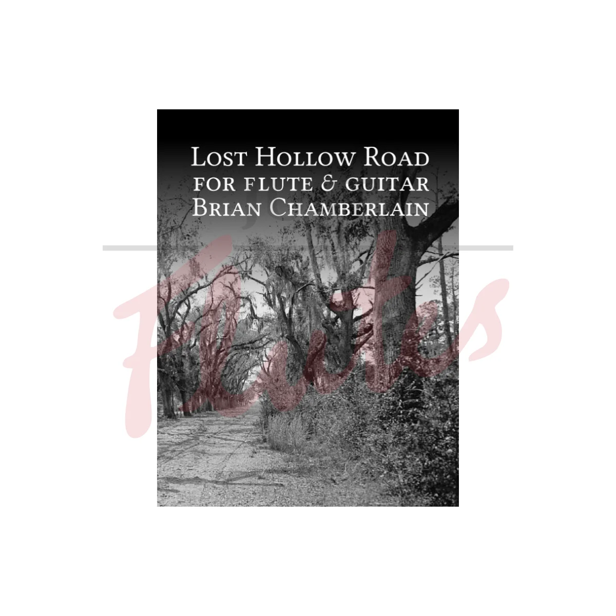 Lost Hollow Road for Flute and Guitar