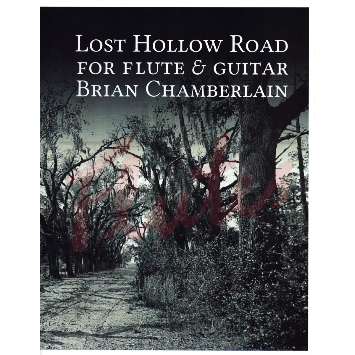 Lost Hollow Road for Flute and Guitar