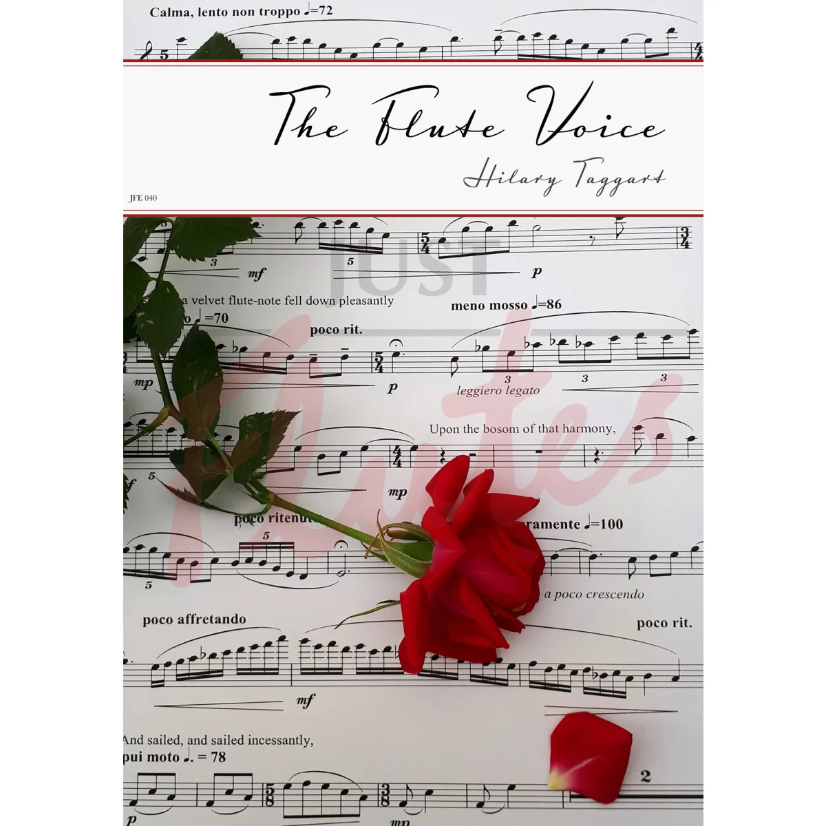 The Flute Voice for Flute and Piano