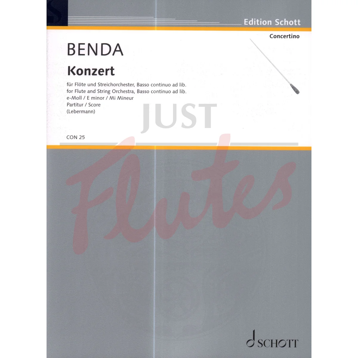Concerto in E minor for Flute, String Orchestra and Basso Continuo