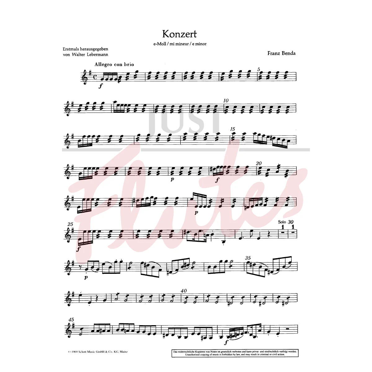 Concerto in E minor for Flute, String Orchestra and Basso Continuo