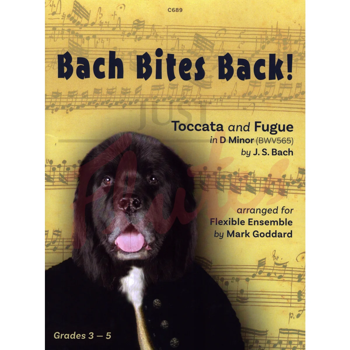 Bach Bites Back! Toccata and Fugue in D minor for Flexible Ensemble