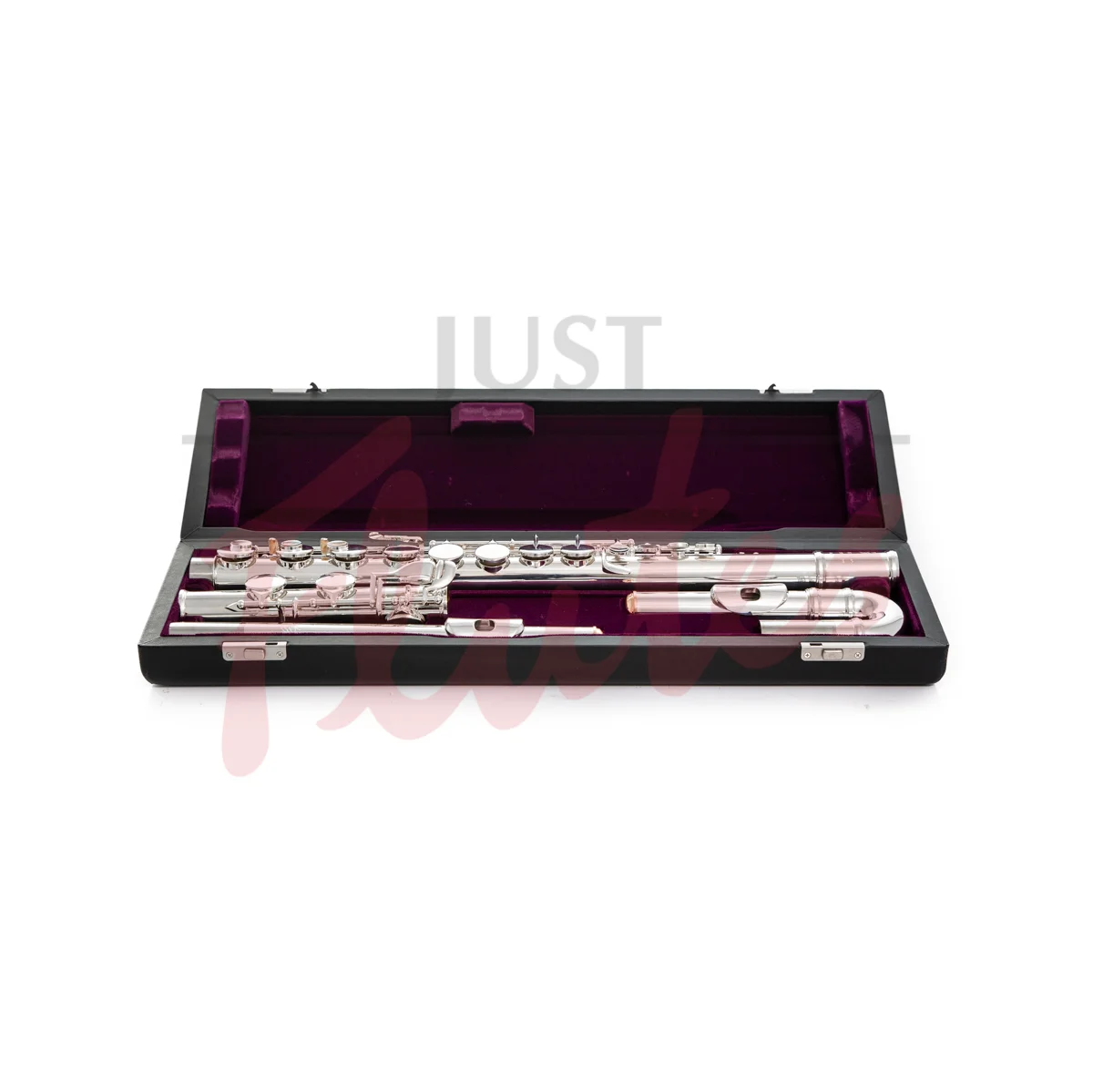 B-Stock Trevor James 33223CD &quot;Performer&quot; Alto Flute