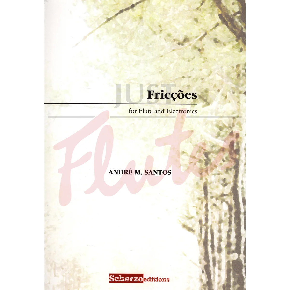 Fricções for Flute and Electronics