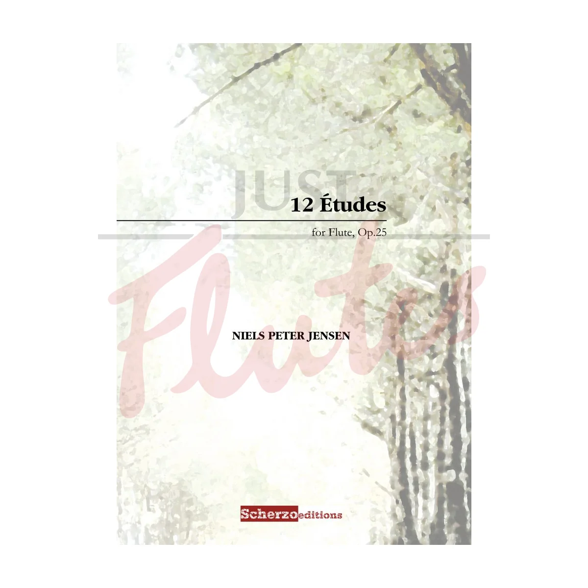 12 Études for Flute