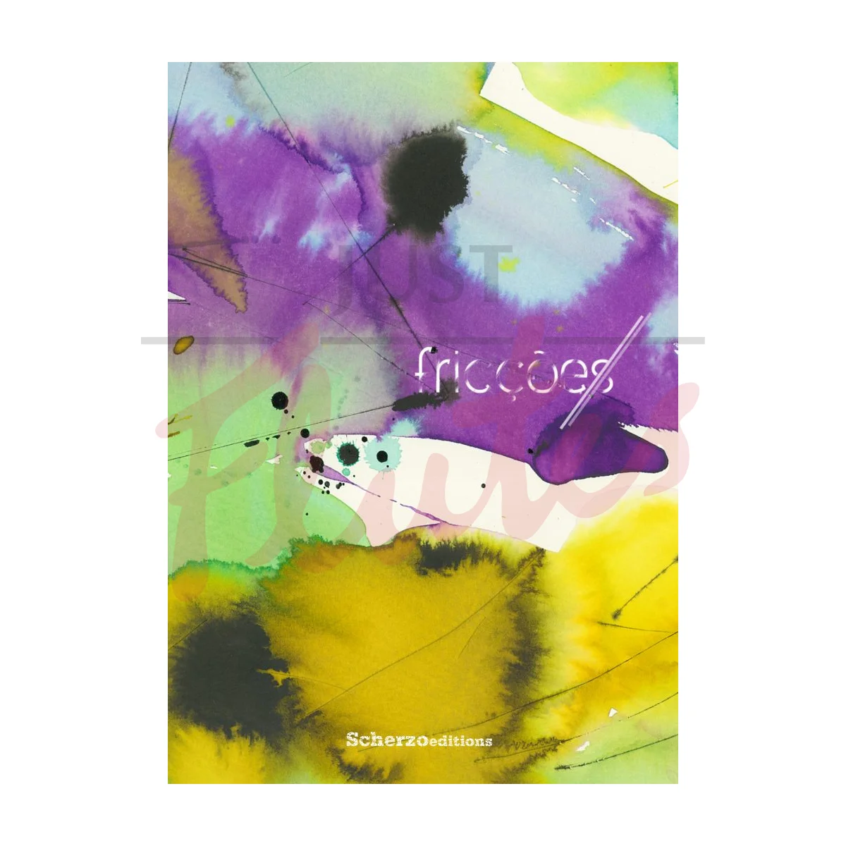 Album Fricções for Flute Solo/Flute and Electronics