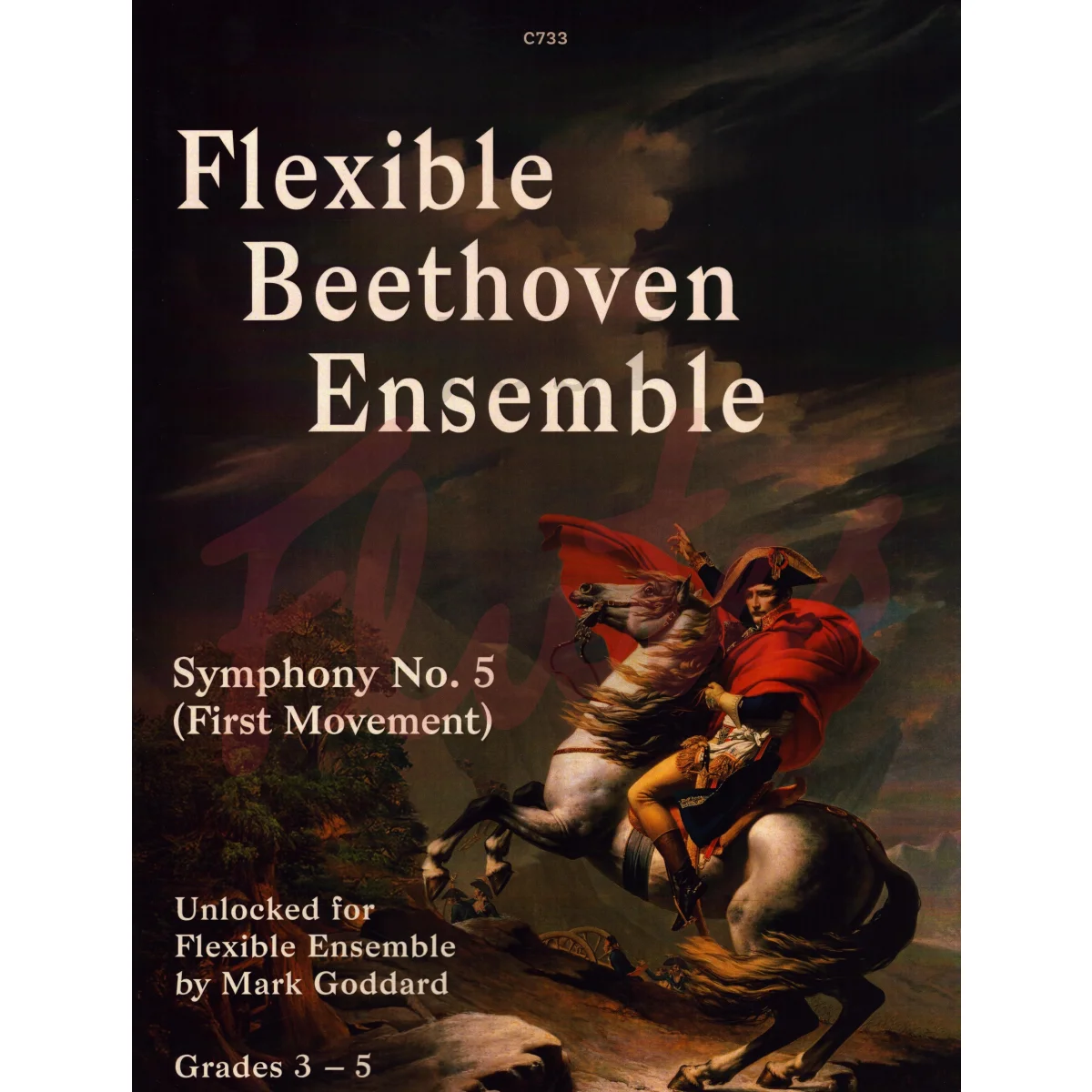 Flexible Beethoven Ensemble