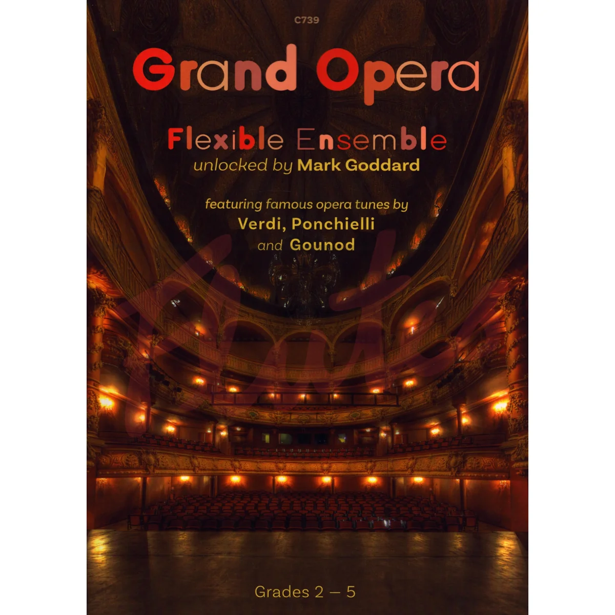 Grand Opera for Flexible Ensemble