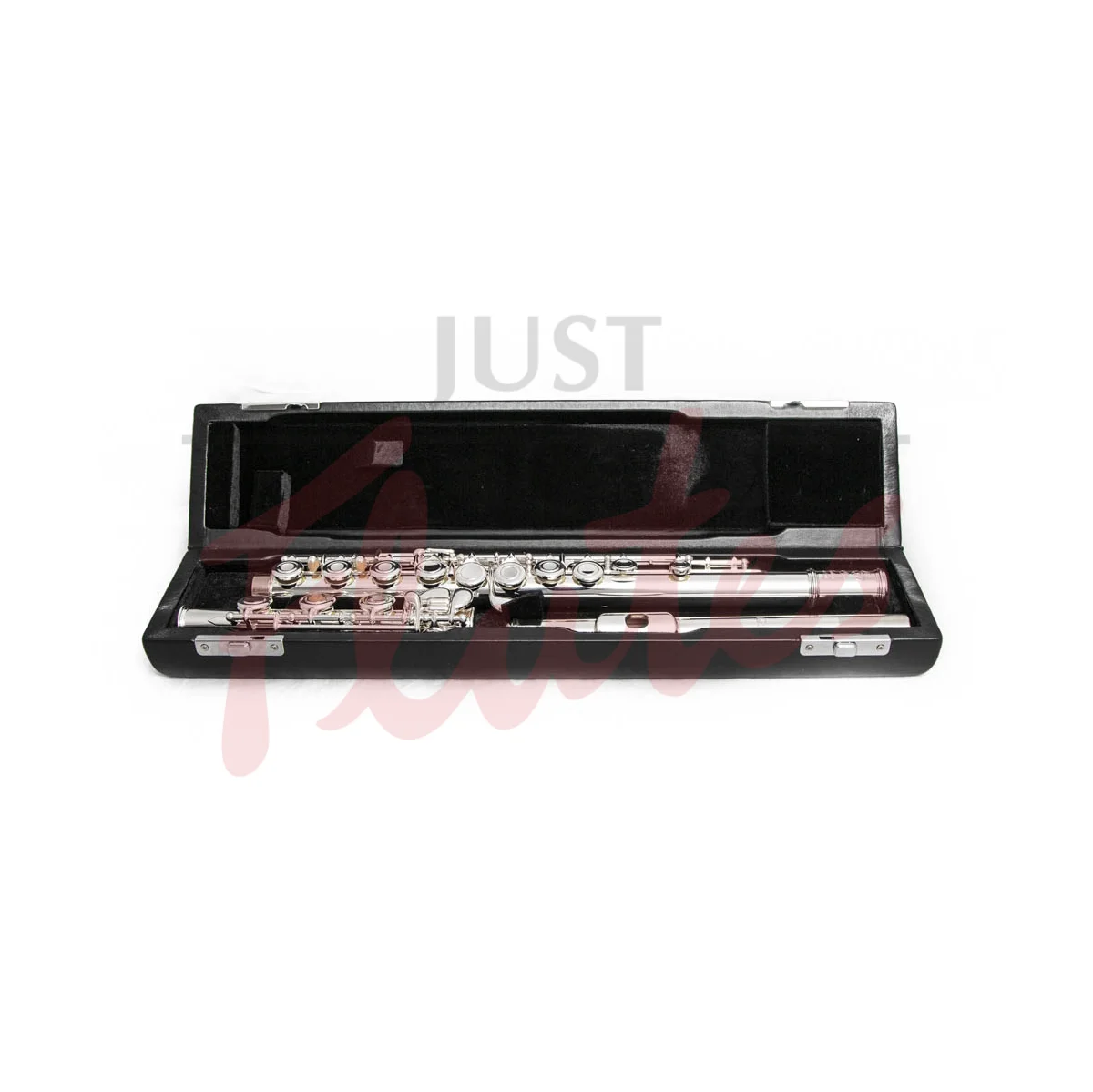 Di Zhao Boston DZ-501BEF Flute