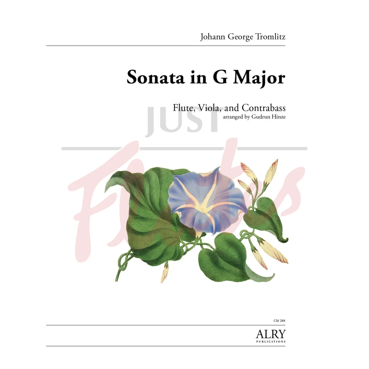 Sonata in G major for Flute, Viola and Contrabass