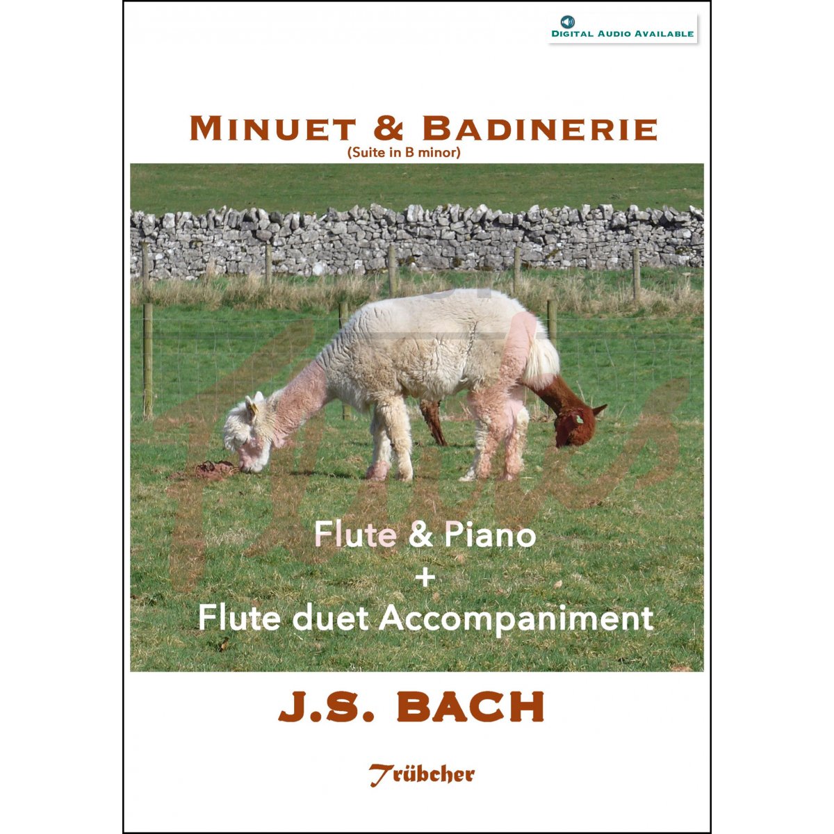 Menuet and Badinerie from Suite No 2 in B minor