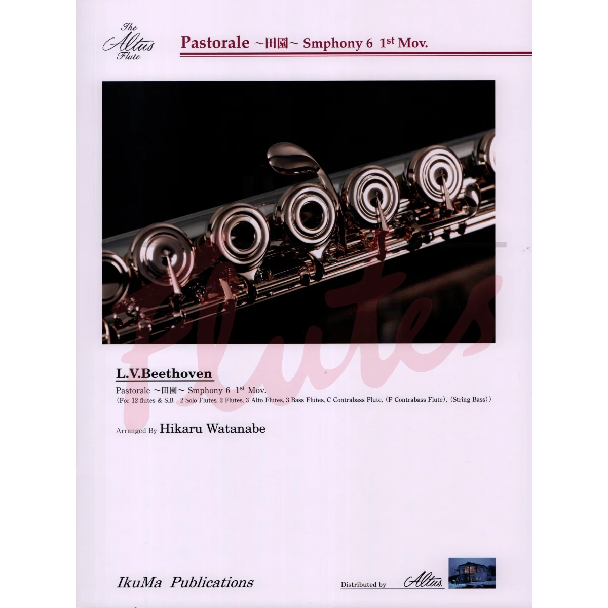 “Pastorale” Symphony No 6: 1st Movement for Flute Choir