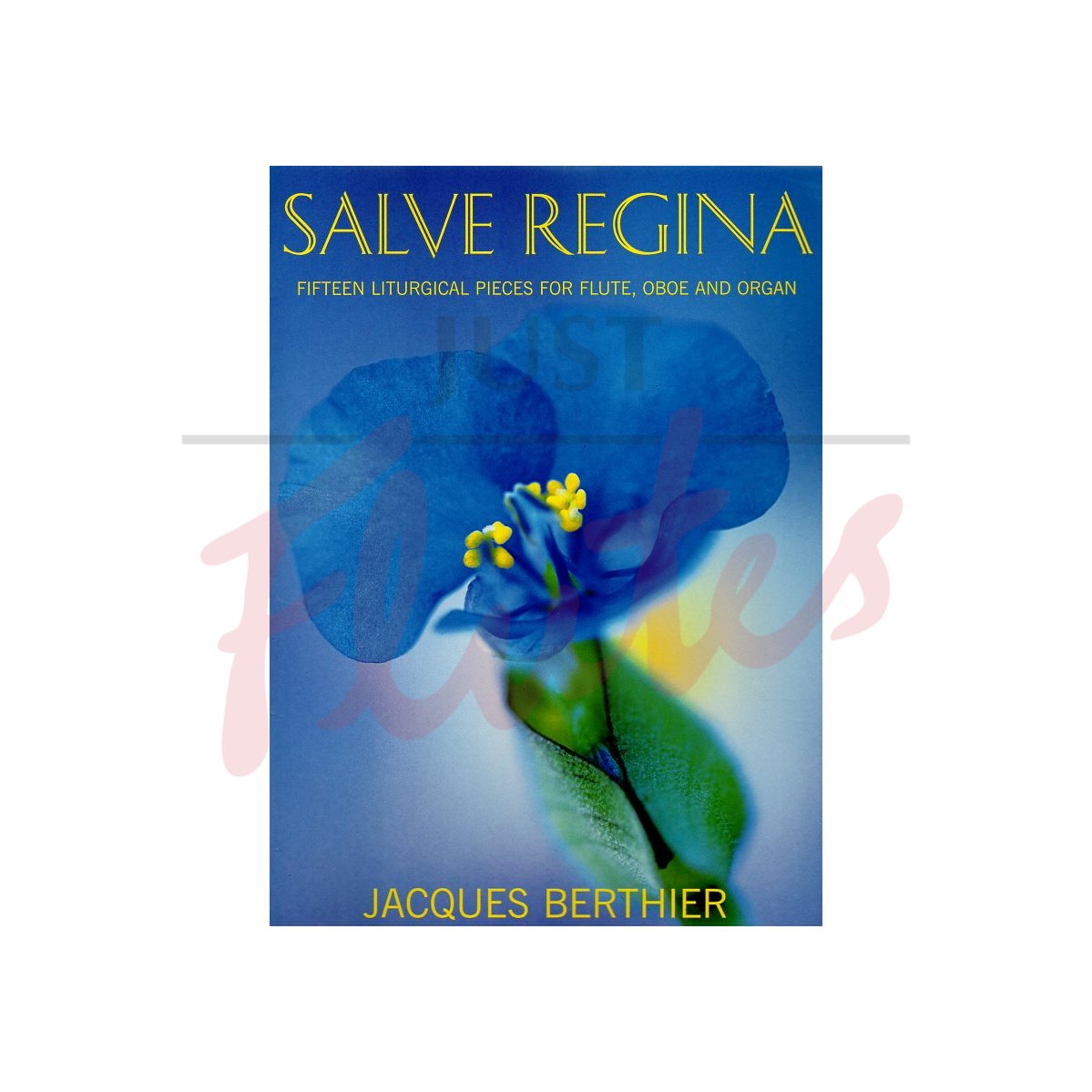 Salve Regina - 15 Liturgical Pieces