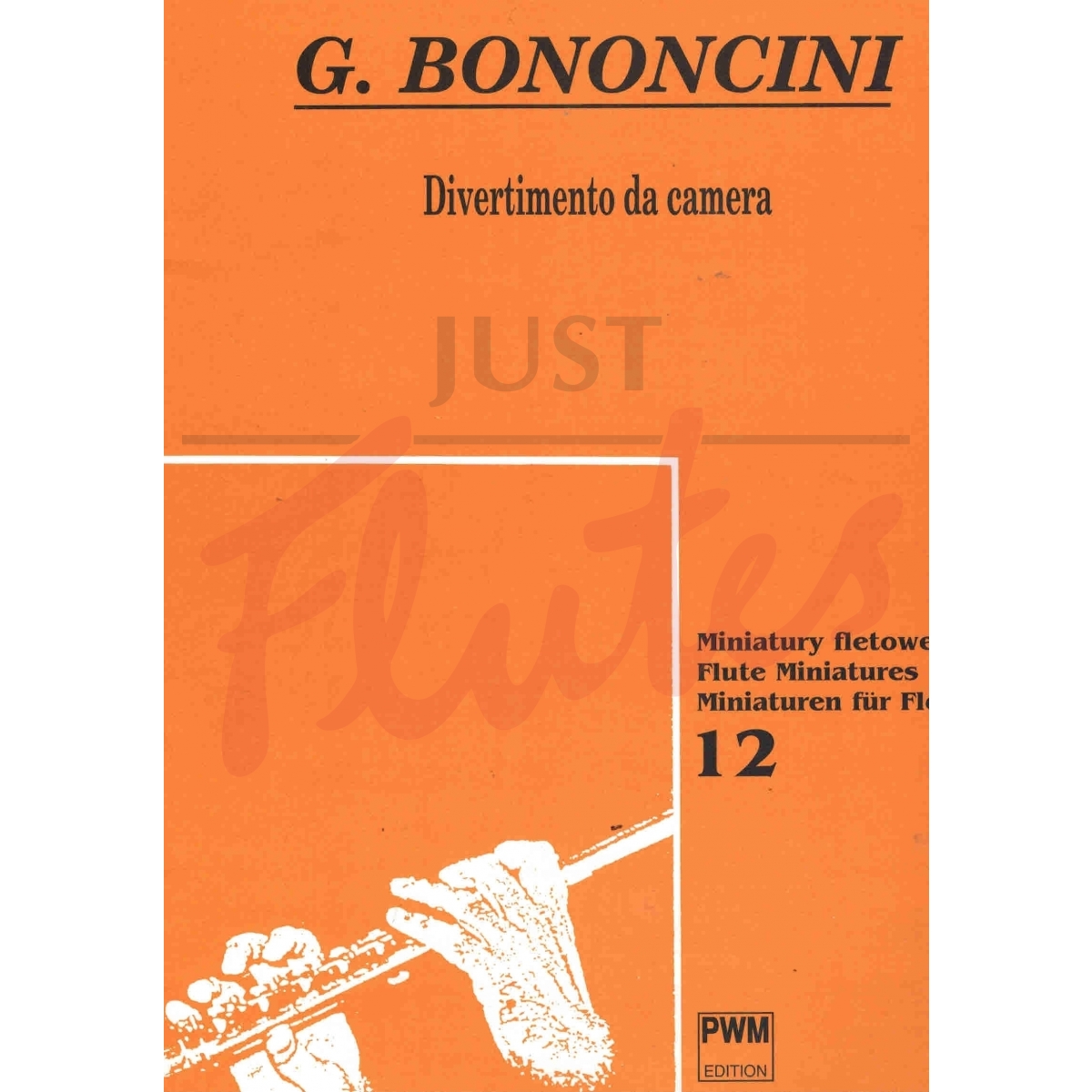 Divertimento da Camera in C minor for Flute and Piano