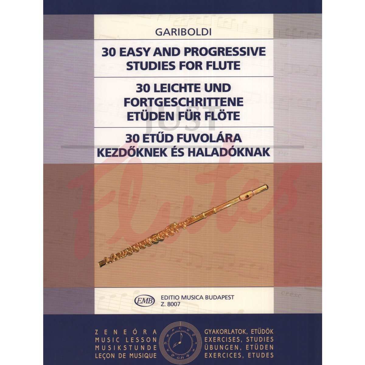 30 Easy and Progressive Studies for Flute