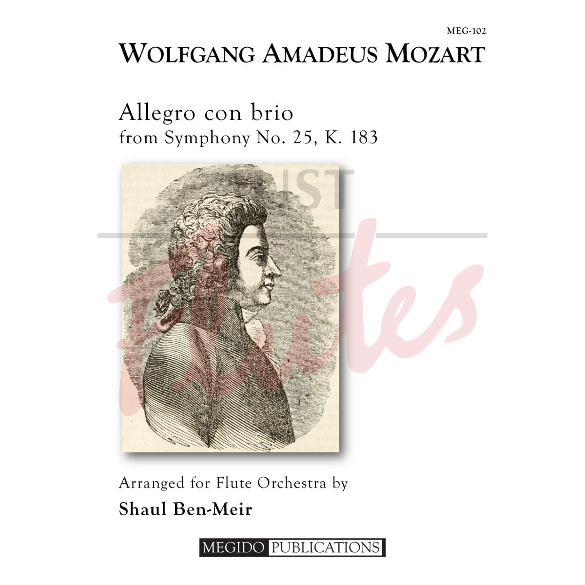 Allegro con brio from Symphony No. 25 for Flute Orchestra